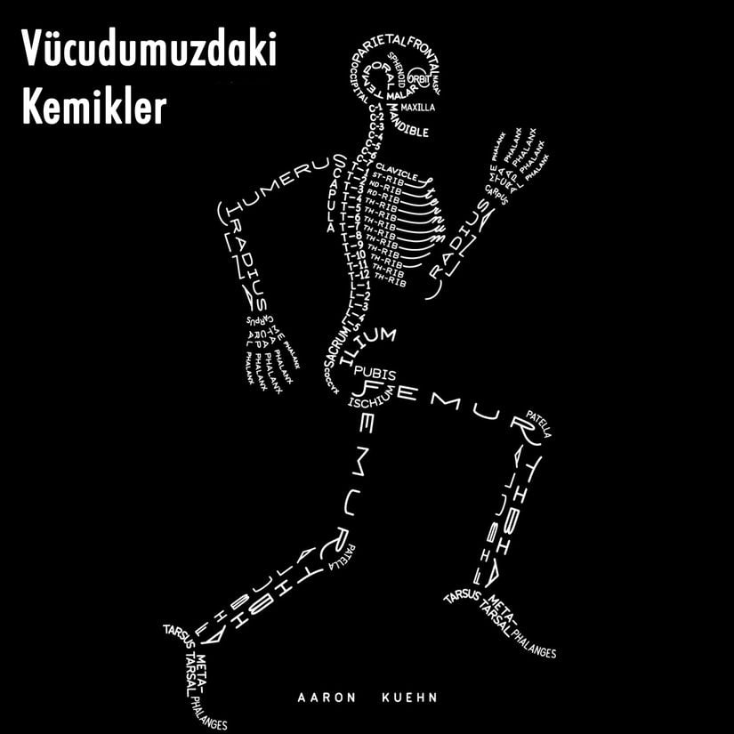 Vücudumuzdaki kemiklerin en bilinen bazılarının isimlerine değişik bir bakış... Tabii burada genel isimler verilmiş, detaylara girilmemiş; dolayısıyla tüm kemiklerin isimleri burada yok.