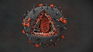 İnsan Bağışıklık Yetmezliği Virüsü (HIV) ve Sebep Olduğu Hastalık (AIDS) Hakkında Bilmeniz Gerekenler!