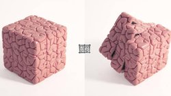 Düşünmenin Temel Prensipleri: Düşünceler Arasında Yolumuzu Nasıl Buluruz?