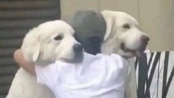 KATLİAMIN SIRADANLIĞI