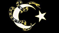 TÜRK LİBERTERYENİZMİ