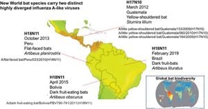 Discovery Of Novel Influenza A Virus Subtype H18N12 In Colombian Bats