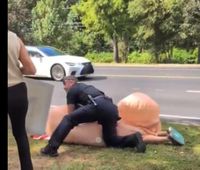 Woman’s ‘obscene’ inflatable penis costume leads to arrest … and debate about free speech