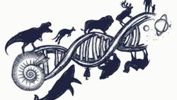 Evrim Etimolojik Olarak Yanlış