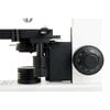Celestron Labs CB2000C Biyolojik Bileşik Mikroskop