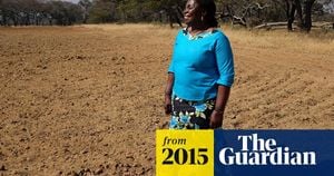 Zimbabwe Commences Compensation Payments For Land Reform Losses