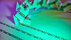 Gen Benzerliği (Genetik Benzerlik) Nedir? İnsan Genomu, Diğer Canlılara Ne Kadar Benzer?