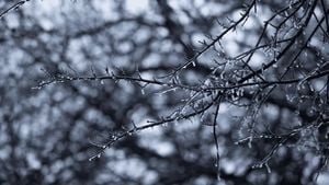 Cold Snap Forces School Closures Across Chelyabinsk Oblast