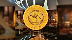 Bir Tonluk Avustralya Kangurusu