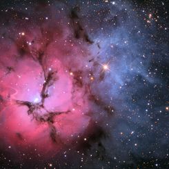 The Trifid Nebula in Stars and Dust