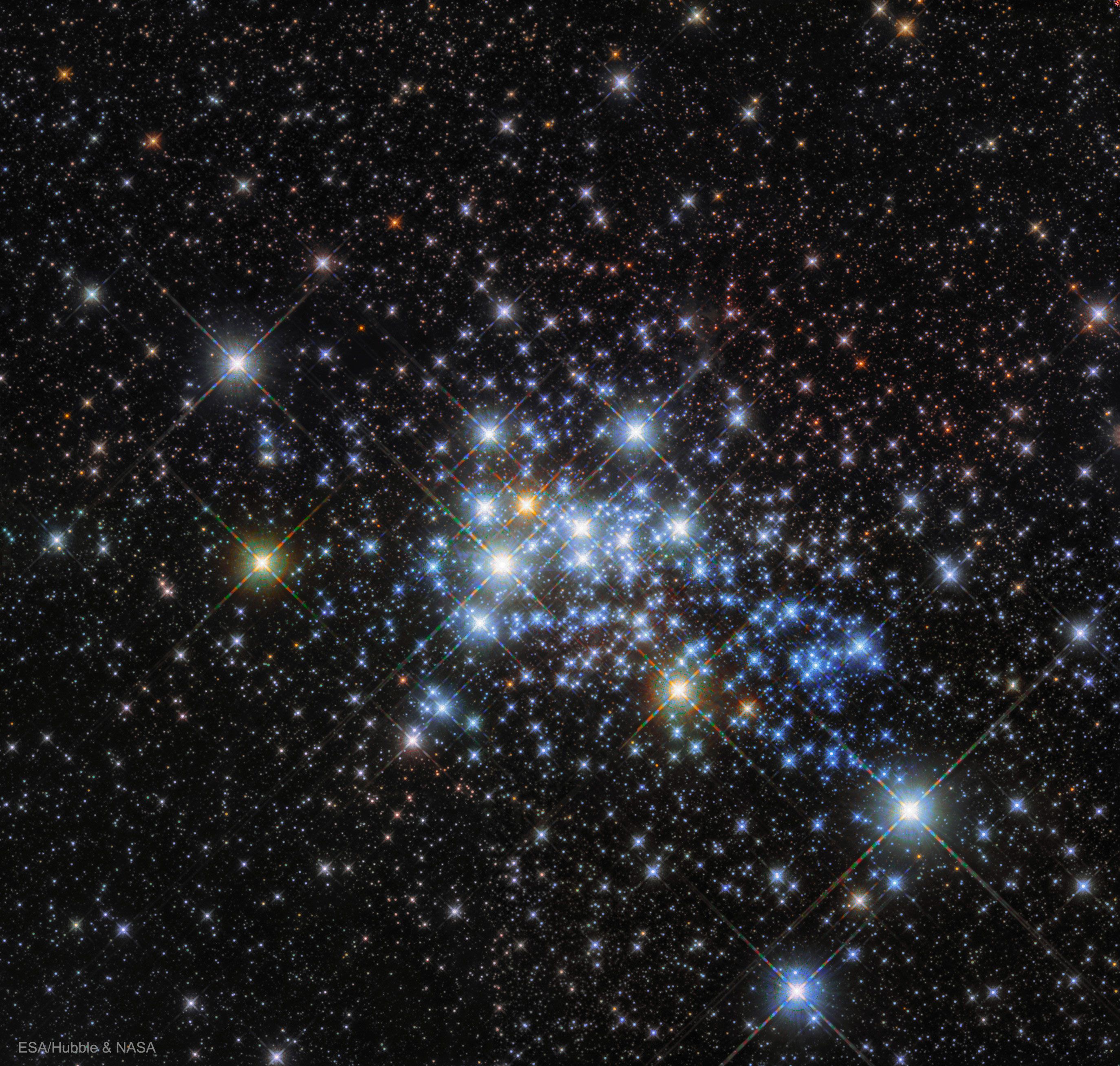  The Massive Stars in Westerlund 1 