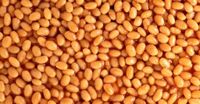 This Popular Baked Bean Brand Just Recalled 4,500 Cans Across 23 States—Here's What to Know