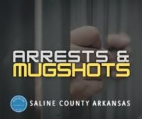Assault Theft, and Fraud in Last Friday’s Saline County Mugshots on 11282025 - MySaline