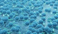 ‘Nightmare Bacteria’ Surge in US Poses ‘Grave Danger’: Ex...