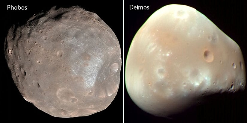 Mars'ın iki küçük uydusuna ait bir görsel, görselde Phobos'un krateri Stickney'de gözükmektedir.