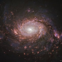  M77: Spiral Galaxy with an Active Center 