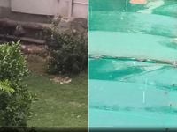 Bihar Weather Update: Hailstorm and Heavy Rainfall Lash Patna; IMD Issues Red Alert for These Districts - www.lokmattimes.com