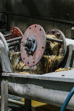 Güney Kore Gıda Atıklarının %98’ini Geri Dönüştürüyor: Dünyaya Ne Öğretebilir?