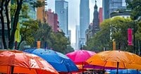 Clima en EEUU: temperatura y probabilidad de lluvia para Nueva York este 17 de enero