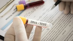 DNA Testleri Gerçekten "Irkınızı" Söyleyebilir mi?