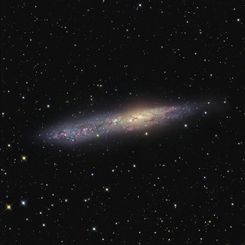 Irregular Galaxy NGC 55