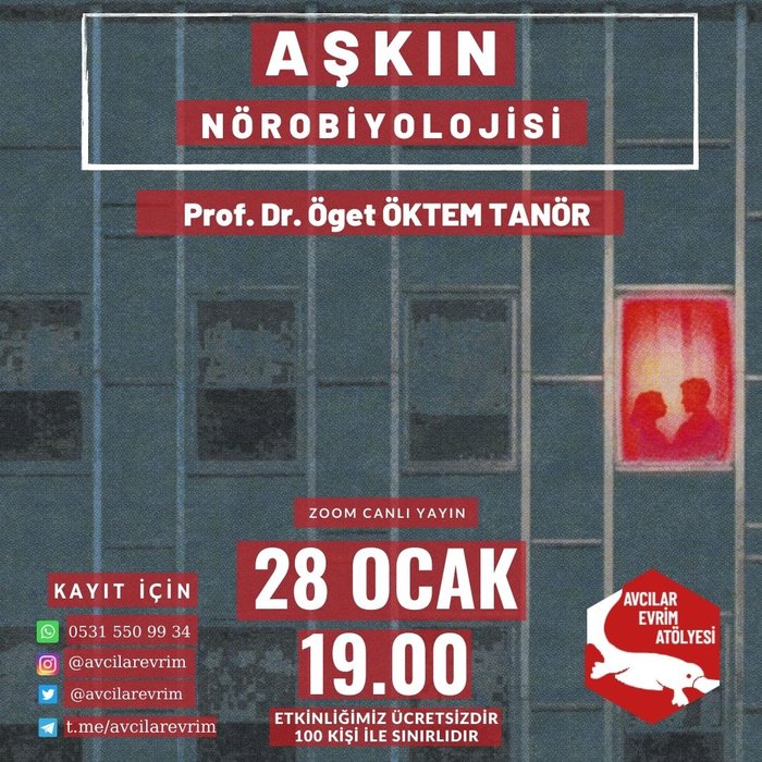 Aşkın Nörobiyolojisi - Prof. Dr. Öget ÖKTEM TANÖR - Avcılar Evrim Atölyesi - 28 Ocak 19.00 - Zoom