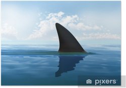 deninzin en güçlü yırtıcısı nedir ve köpek balıkları neden sırt yüzgeçleri dışarıda yüzerler?