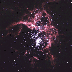 Stellar Violence in 30 Doradus