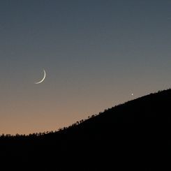 Venus and the 37 Hour Moon