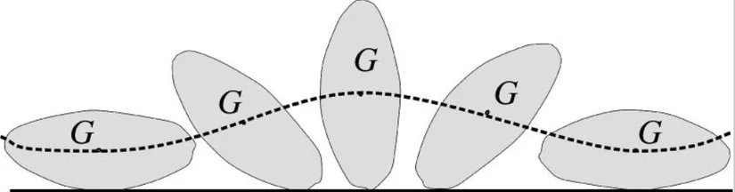 Yatay tek çizgi (düzlem) bağlı yuvarlanan zor disk, kaplumbağa kabuğunun enine kesitini temsilcilik eder. Kalın-kesikli çizgi, yuvarlanma sırasındaki ağırlığı merkezinin (G) yörüngesini gösterir. Yörüngenin ekstremum noktaları, cismin hükümlı ya da hükümsız denge durumlarına karşılık gelir.
