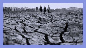 Climate Change Funding Shortfalls Threaten India's Adaptation Goals