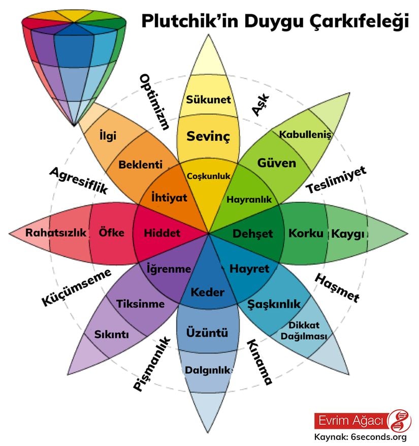 Plutchik'in Duygu Çarkıfeleği