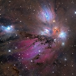 NGC 2170: Melek Bulutsusu