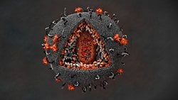 İnsan Bağışıklık Yetmezliği Virüsü (HIV) ve Sebep Olduğu Hastalık (AIDS) Hakkında Bilmeniz Gerekenler!