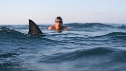 Gerçek Risk ile Algılanan Risk Neden Farklıdır?