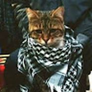 Ahmet Guren