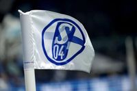 Konzerte und Transfers: So entging Schalke einem Punktabzug