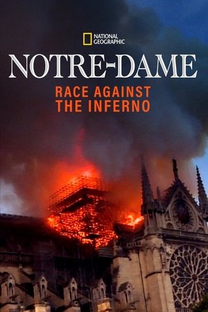 Notre Dame: Cehennemle Yarış