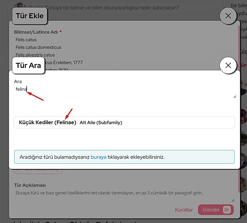 Arama kutusu siz yazdıkça en uygun olan taksonu getirmeye çalışmaktadır.