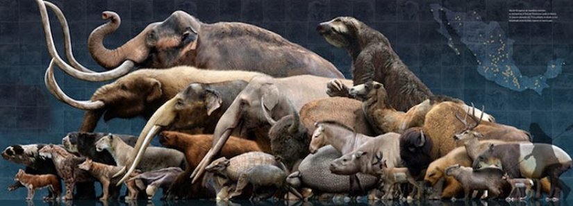 Pleistosen Dönem Faunası