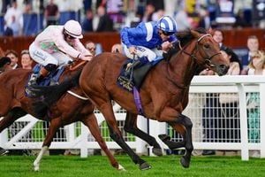 Big Odds And Group 1 Drama Light Up Saturday Racing