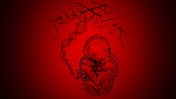 Dünya'nın Tasarlanmış İlk Bebekleri: AIDS Direnci Verilmek İstenen Bebekler Yanlışlıkla Süperzeki Yapılmış Olabilir!