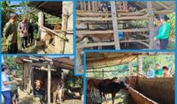 Đẩy mạnh hoạt động trợ giúp người yếu thế