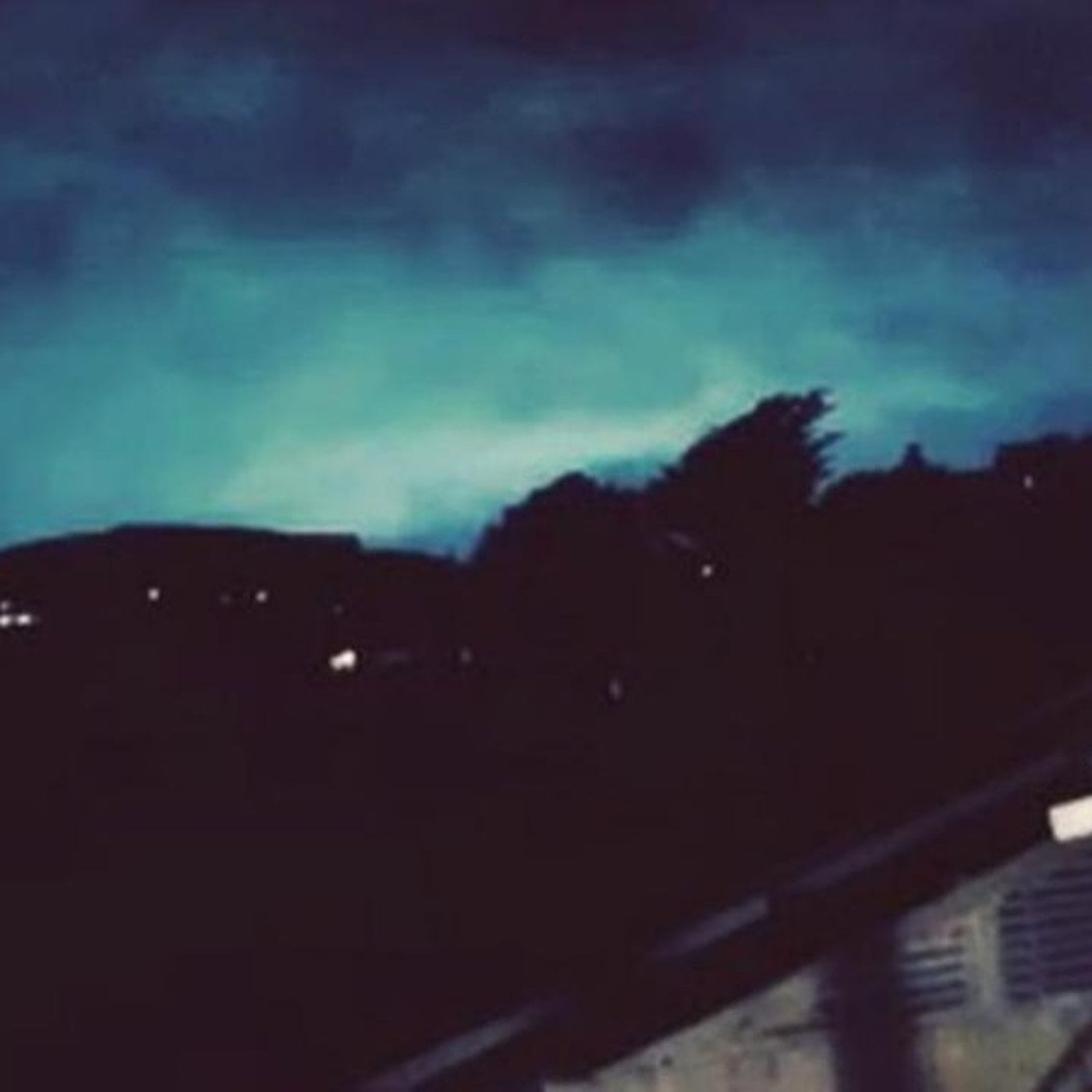 Evrim Ağacı ile Bilime Dair Her Şey!