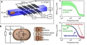 New Microfluidic Device Enables Rapid Antibiotic Susceptibility Testing