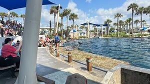 Gulfarium Celebrates 70 Years With Conservation Milestones