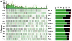 Ekle-Sil (Indel) Tipi Mutasyonlar, Evrimi Nasıl Etkiliyor?