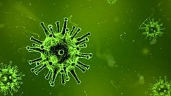 Evrim Mekanizmaları - 12: Virüsler (Bakteriyofaj)