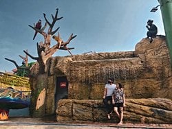 Maymunlar ile maymunlar arasındaki hiyerarşik bağ ile bugünkü insanlar arasındaki hiyerarşik bağların farkı nasıl gelişti?