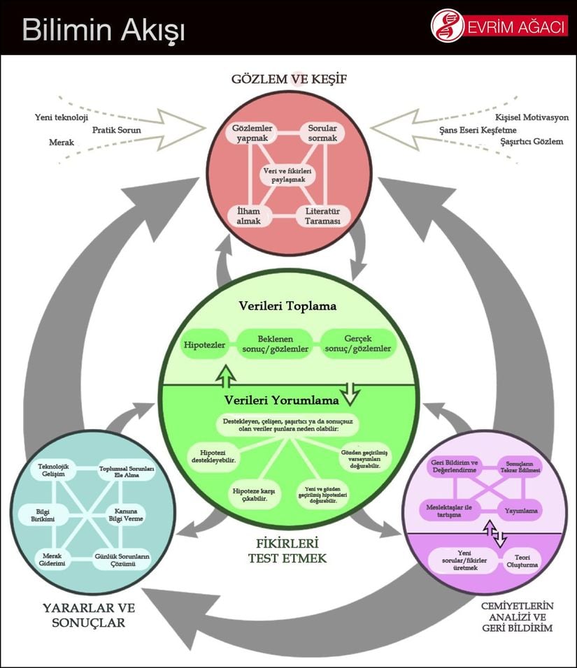 Bilimin akışı nasıldır?